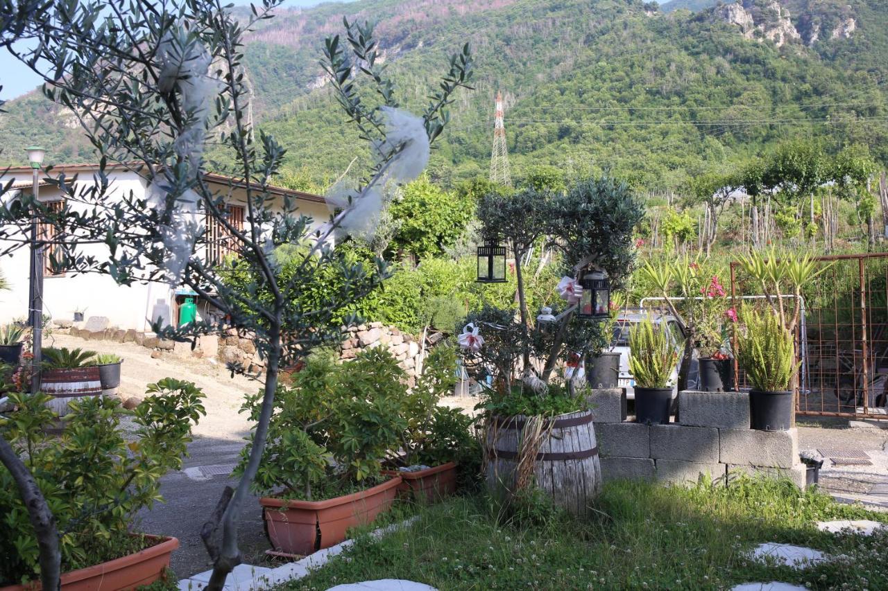 Annabella'S Country House Sant'Antonio Abate Bagian luar foto